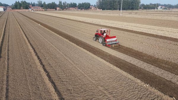 赛岳恒配资 河北：多措并举应对小麦晚播&#32;力促粮食稳产增收
